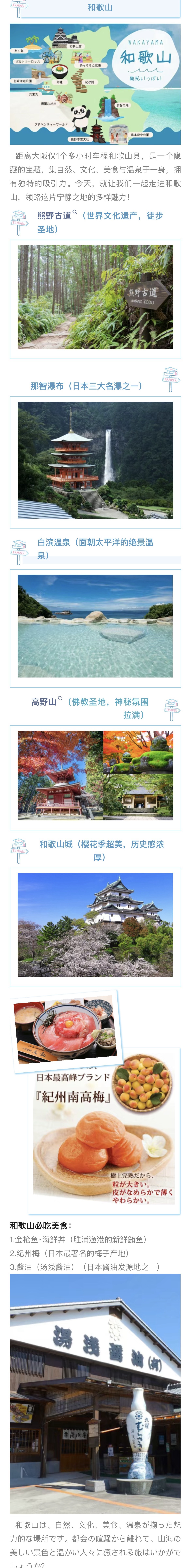 e91c65f3-82d7-443c-a620-cc60f904b9df.jpg